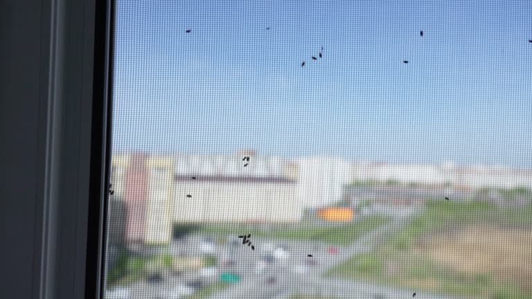 Mosquito Net for Balconies in Hyderabad