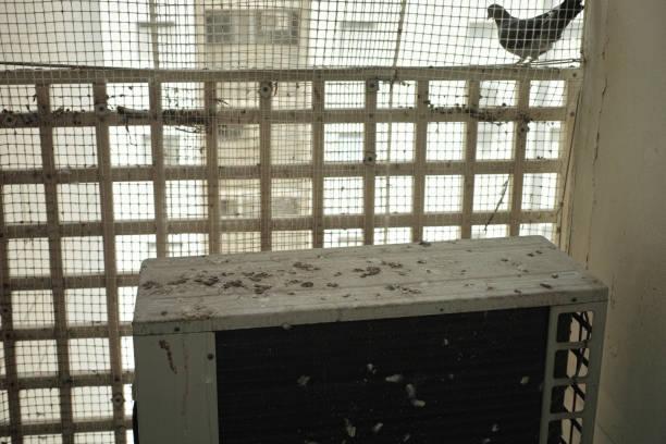 Pigeon Nets for Balconies in Hyderabad