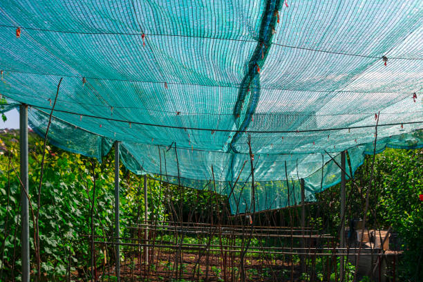 Shade Nets in Hyderabad